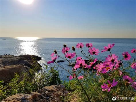 面朝大海春暖花開意思|海子《面朝大海，春暖花开》原文及赏析